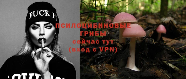 прущий лед Абаза