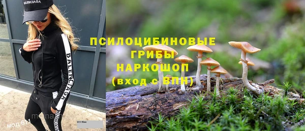 стаф Абдулино