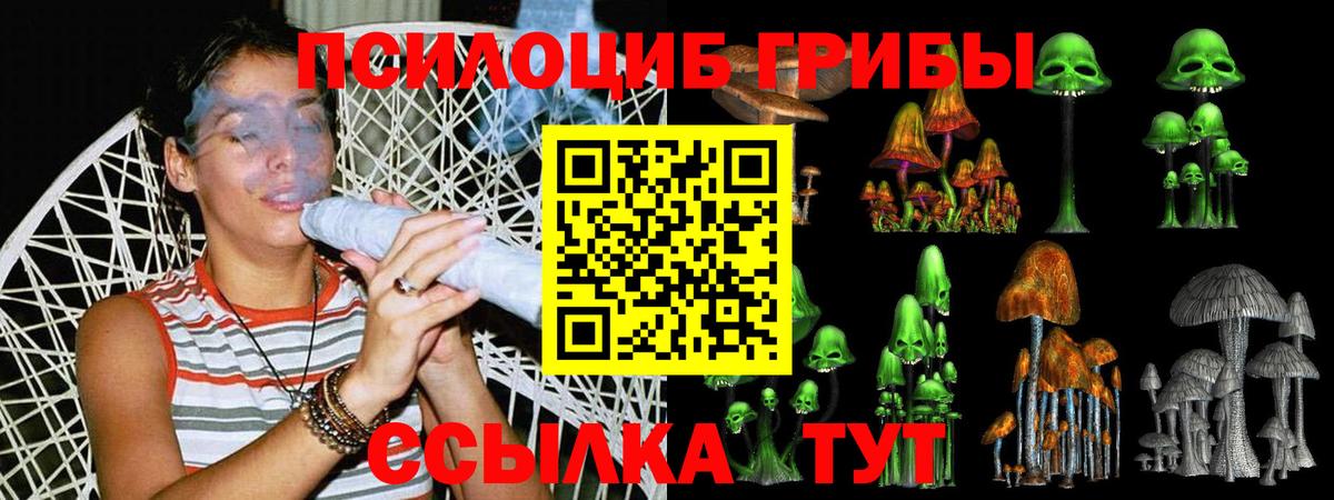 Псилоцибиновые грибы прущие грибы Якутск